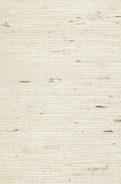 Tapete Grasscloth 02 Hellelfenbein -Tapeten Verkäufe 250262 grasscloth 02 2880x1440
