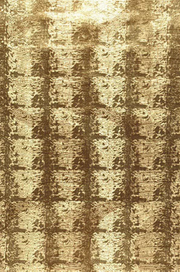 Tapete Rio Crocodillo Braun 4 Tapete Rio Crocodillo Braun - Image 2