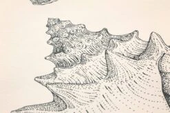 Ferm LIVING Tapete Shells Cremeweiss -Tapeten Verkäufe 420253 B Shells 2880x1440