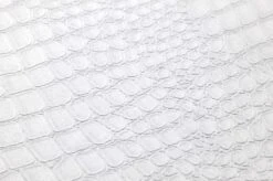 Tapete Caiman Grauweiss