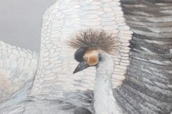 Tapete Kimora Hellgrau -Tapeten Verkäufe 431701 B Kimora 2880x1440