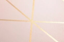 Tapete Biloba Zartrosa -Tapeten Verkäufe 451371 B Biloba 2880x1440