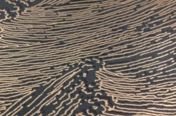 Tapete Linara Gold Schimmer -Tapeten Verkäufe 451931 B Linana 2880x1440