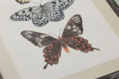 Tapete Jara Bunt -Tapeten Verkäufe 461581 1 Jara 2880x1440