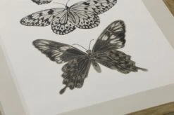 Tapete Jara Olivgrau -Tapeten Verkäufe 461582 1 Jara 2880x1440