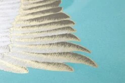 Tapete Inola Türkis -Tapeten Verkäufe 461923 B Inola 2880x1440