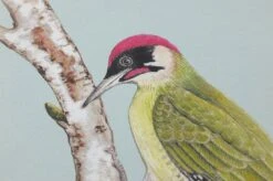 Tapete Merle Grüntöne -Tapeten Verkäufe 461971 B Merle 2880x1440