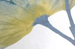 Tapete Munroe Blaugrün -Tapeten Verkäufe 462522 B Munroe 2880x1440