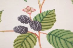 Tapete Francesca Grüntöne -Tapeten Verkäufe 463311 B Francesca 2880x1440