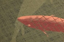 Tapete Immola Schilfgrün 7 Tapete Immola Schilfgrün -Tapeten Verkäufe 625543 B Immola 2880x1440