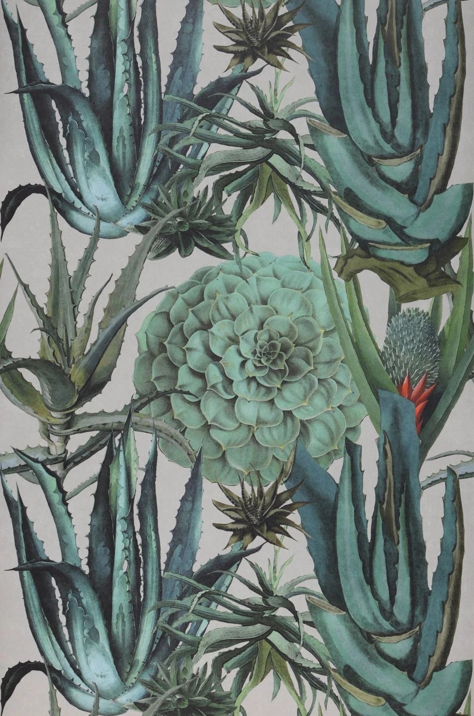 Wandbild Succulentus Grauweiss 4 Wandbild Succulentus Grauweiss - Image 2