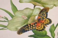 Tapete Sensu Cremeweiss 8 Tapete Sensu Cremeweiss -Tapeten Verkäufe 745142 B Sensu 2880x1440