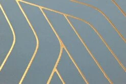 Tapete Flapper Pastelltürkis -Tapeten Verkäufe 790222 B Flapper 2880x1440