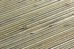 Tapete Grass On Roll 06 Schilfgrün -Tapeten Verkäufe 821716 B Grass on Roll 06 2880x1440