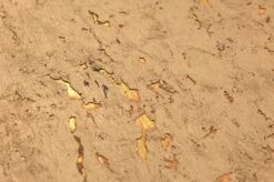 Tapete Cork On Roll 01 Mattgold -Tapeten Verkäufe 821721 B Cork on Roll 01 2880x1440