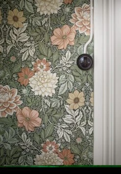 Tapete Kerala Schilfgrün