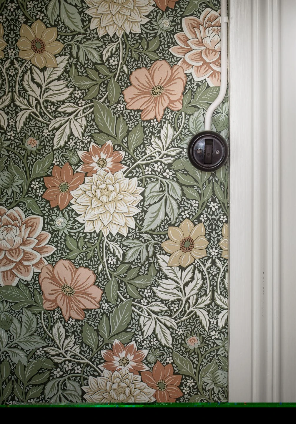 Tapete Kerala Schilfgrün 3 Tapete Kerala Schilfgrün