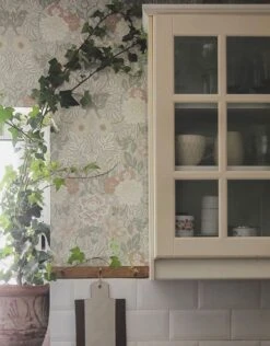 Tapete Kerala Graubeige -Tapeten Verkäufe Kerala S 451871 2880x1440