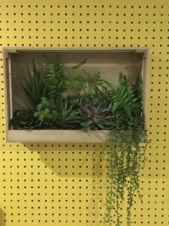 Tapete Nala Goldgelb -Tapeten Verkäufe Nala K 835152 2880x1440