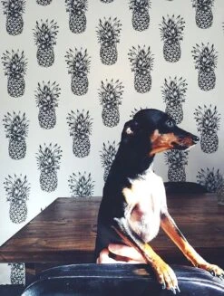 Tapete Pineapple Paradise Schwarzgrau -Tapeten Verkäufe Pineapple Paradise K 181211 2880x1440