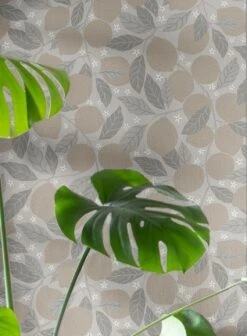 Tapete Raphael Weissgrau