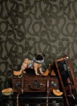 Tapete Snake Peek Moosgrau -Tapeten Verkäufe Snake Peek D 341112 2880x1440