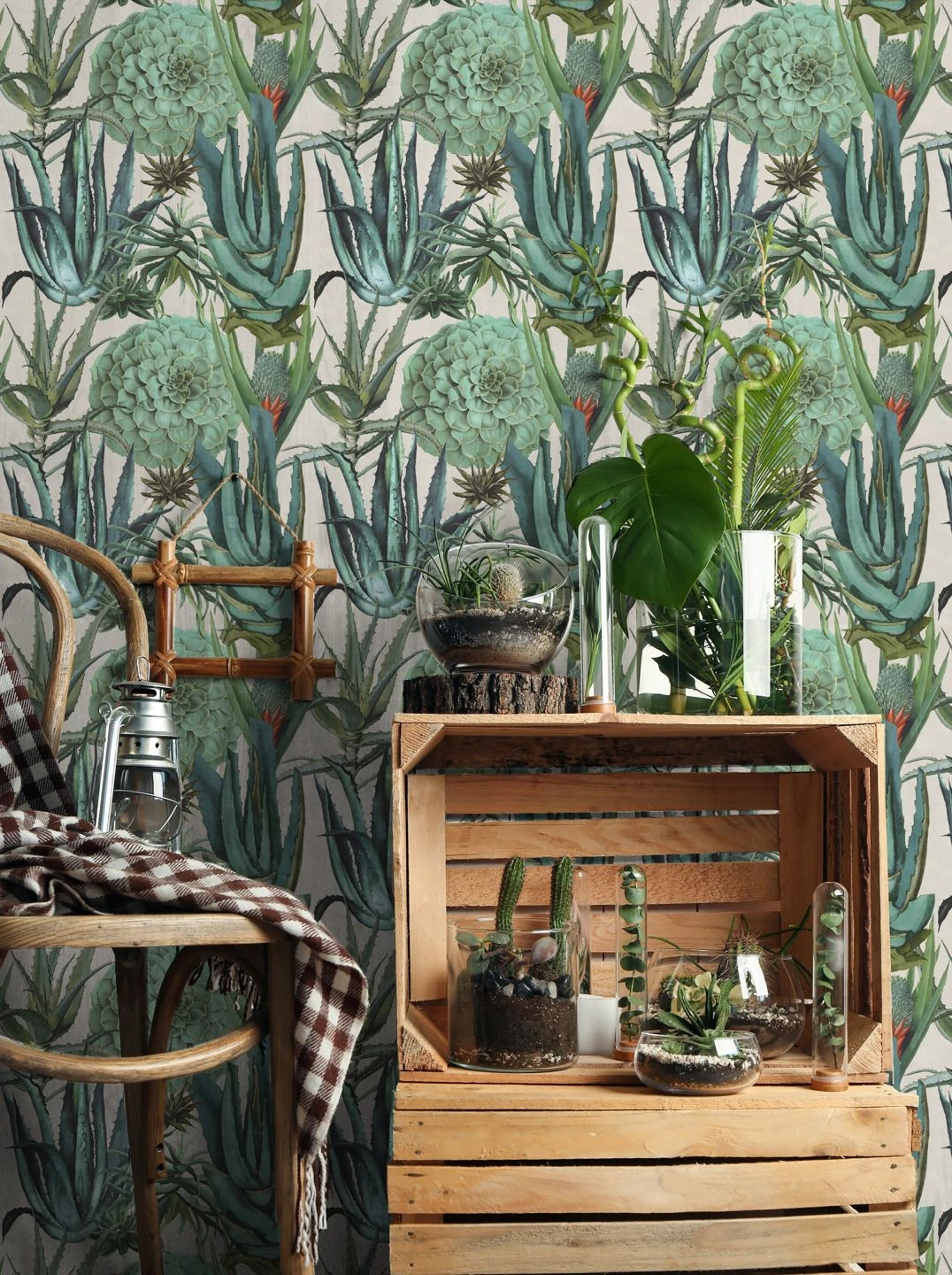 Wandbild Succulentus Grauweiss 5 Wandbild Succulentus Grauweiss - Image 3