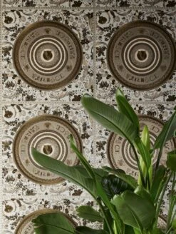 Versace Tapete Venus Brauntöne