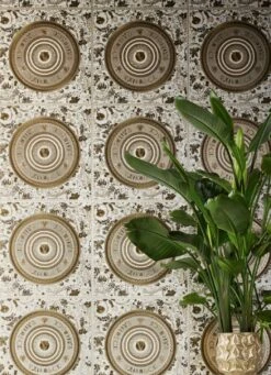 Versace Tapete Venus Brauntöne -Tapeten Verkäufe Venus C 411013 2880x1440