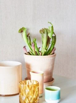 Tapete Veruso Lino Creme -Tapeten Verkäufe Veruso Lino J 950011 2880x1440